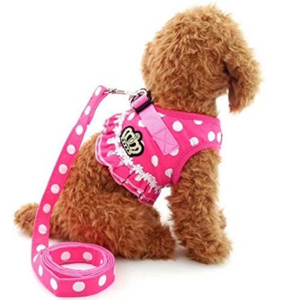 Pink Polka Dot Vest/Harness with Crown